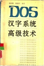 DOS汉字系统高级技术