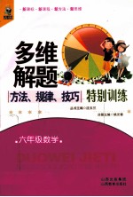 多维解题方法规律技巧特别训练  六年级数学