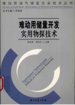 难动用储量开发实用物探技术