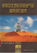 新疆塔北地区低阻油气层测井评价技术