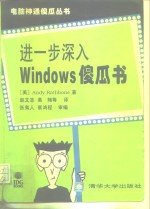 进一步深入Windows 傻瓜书