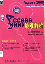 中文Access 2000疑难解析