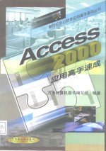 Access 2000应用高手速成