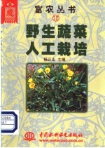 野生蔬菜人工栽培