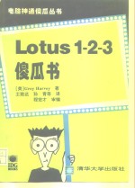 Lotus2-3傻瓜书