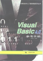 Visual Basic 4.0参考手册