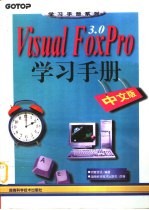 Visual Foxpro3.0  中文版