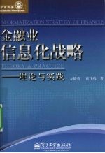 金融业信息化战略  理论与实践