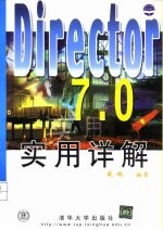 Director 7.0实用详解