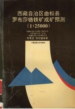 西藏自治区曲松县罗布莎铬铁矿成矿预测  1∶25000