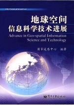 地球空间信息科学技术进展