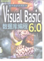 Visual Basic 6.0 数据库编程