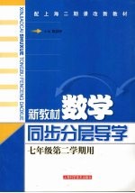 新教材数学  同步·分层·导学  七年级  第二学期用