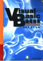 Visual Basic编程指南