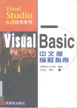 Visual Basic 6.0中文版编程指南