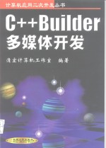 C++Builder多媒体开发