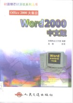 Word 2000  中文版