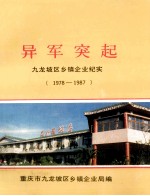 异军突起  九龙坡区乡镇企业纪实  1978-1987