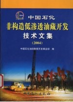 中国石化非构造低渗透油藏开发技术文集  2004