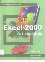 中文Excel 2000入门与提高