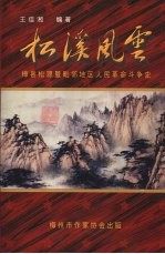 松溪风云  梅县松源暨毗邻地区人民革命斗争史