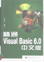 精通Visual Basic 6.0中文版