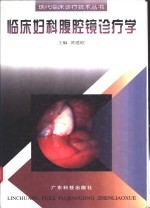 临床妇科腹腔镜诊疗学