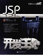 JSP开发王