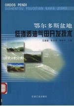 鄂尔多斯盆地低渗透油气田开发技术