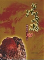 世纪春潮  耕耘实小100年