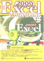 用Excel 2000成为计算高手