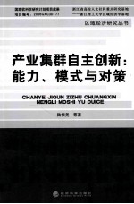 产业集群自主创新  能力、模式与对策