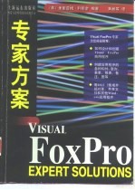 Visual FoxPro专家方案