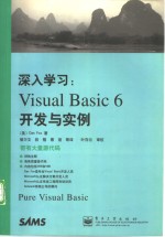 深入学习 Visual Basic 6开发与实例