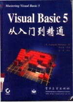 Visual Basic 5从入门到精通