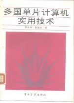 多国单片计算机实用技术