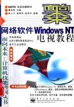 网络软件Windows NT电视教程