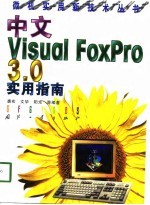 中文Visual FoxPro 3.0实用指南