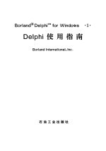 Delphi使用指南