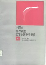 中西文操作系统文字处理电子表格