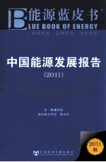 中国能源发展报告  2011