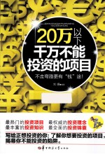 20万以下千万不能投资的项目