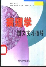 病理学图文实习指导