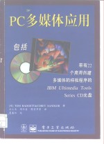 PC多媒体应用