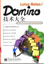 Lotus Notes/Domino技术大全