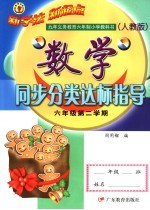 九年义务教育六年制小学教科书  人教版  小学数学同步分类达标指导  六年级  第二学期