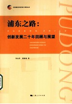 浦东之路  创新发展二十年回顾与展望