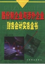 股份制企业与涉外企业财务会计实务全书  4