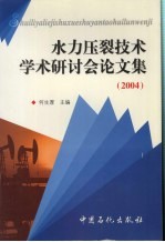 水力压裂技术学术研讨会论文集  2004