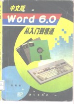 中文版Word 6.0从入门到精通